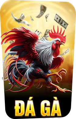 đá gà new88